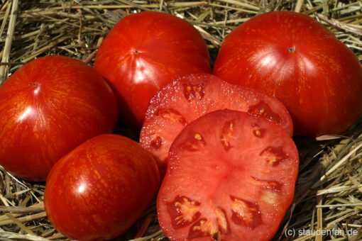 Die Tomate 'Feuerwerk' überzeugt mit äußeren und inneren Werten.