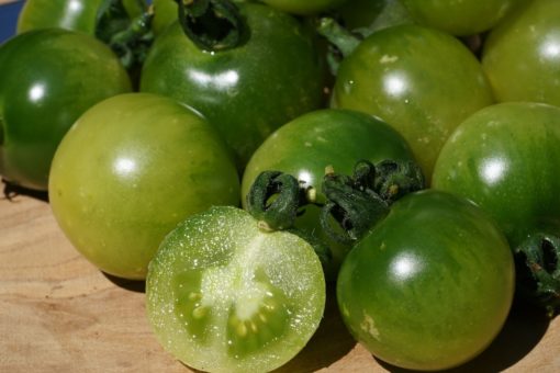 Die Tomate Green Doctors ist eine delikate grüne Kirschtomate.