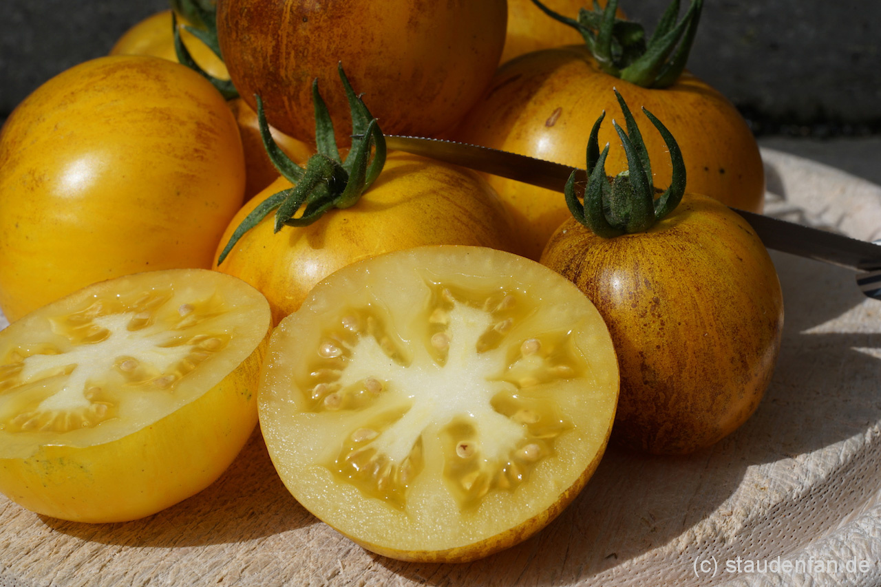 Egal ob für Salat oder aufs Brot: Golden Tiger ist ein Allrounder.