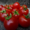 Tomate Roter Rubinius