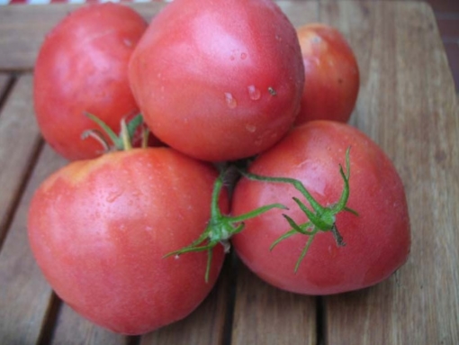 Tomate Shapka Monomakha
