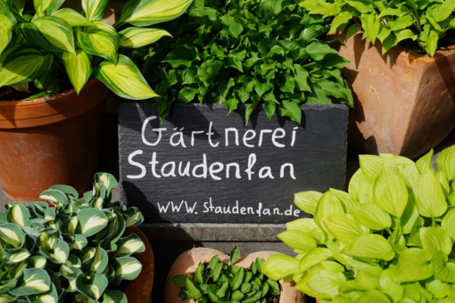 Produktbild wird erwartet