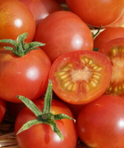 Tomate 'Napa Rosé'.